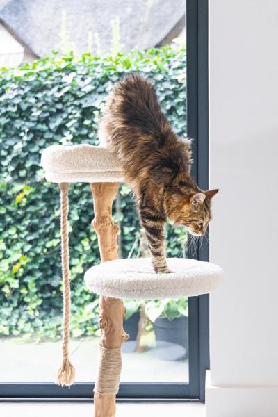 Echtholz Kratzbaum VILJA 110cm - Designed by Lotte - für Katzen bis 10kg